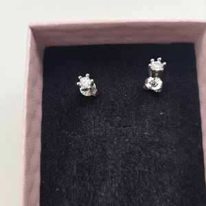 Elegant Silver Stud Earrings